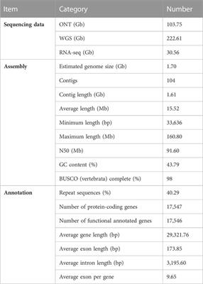 Draft genome of the oriental garden lizard (Calotes versicolor)